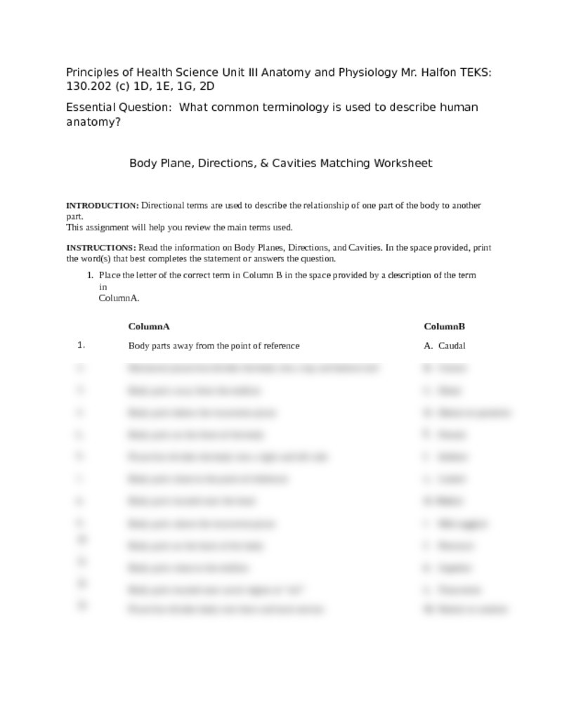 Anatomical Terms Worksheet Answers Anatomical Directions Worksheet
