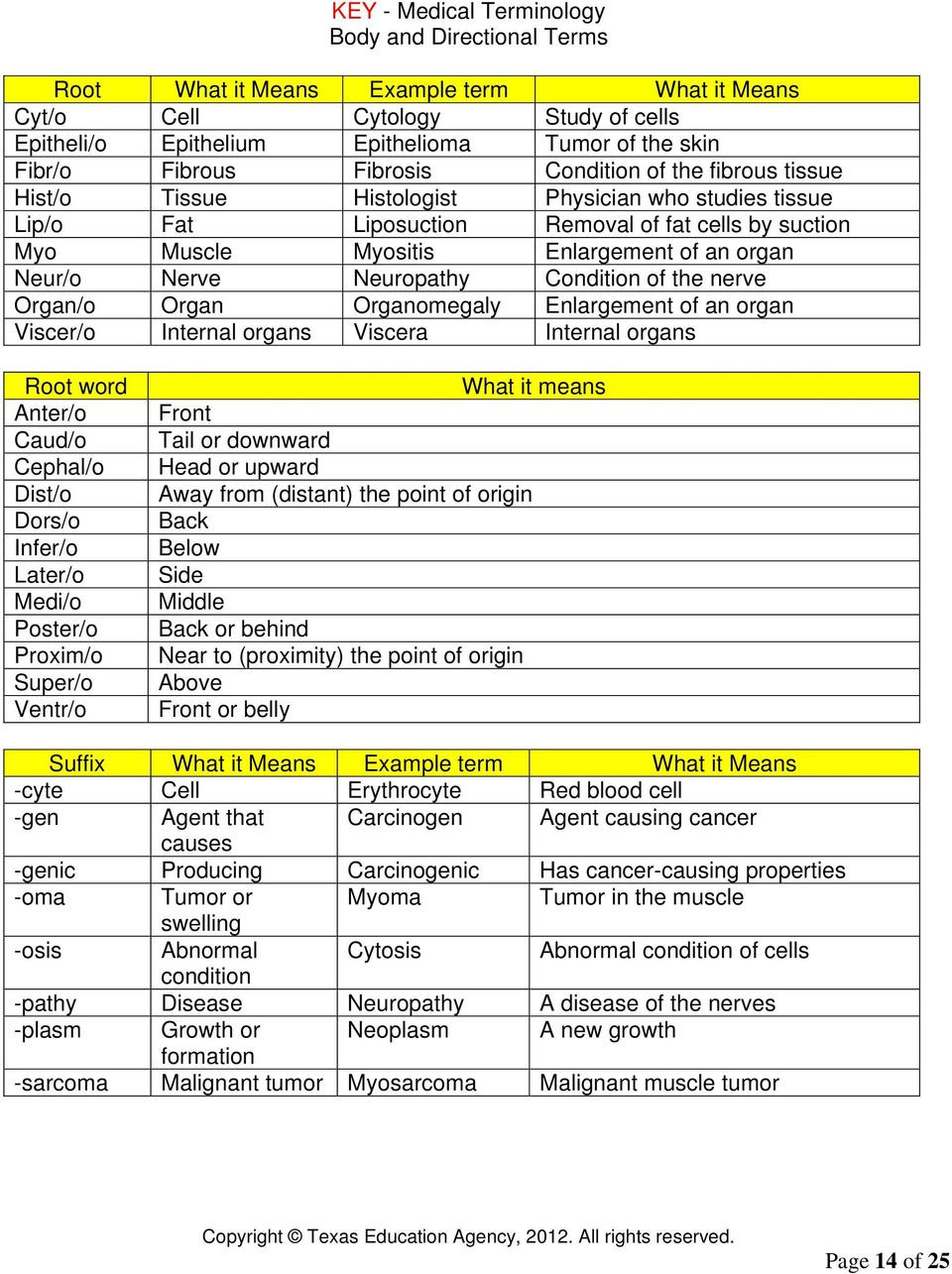 Anatomical Terms Worksheet Answers General Body and Directional Terms Pdf Free Download