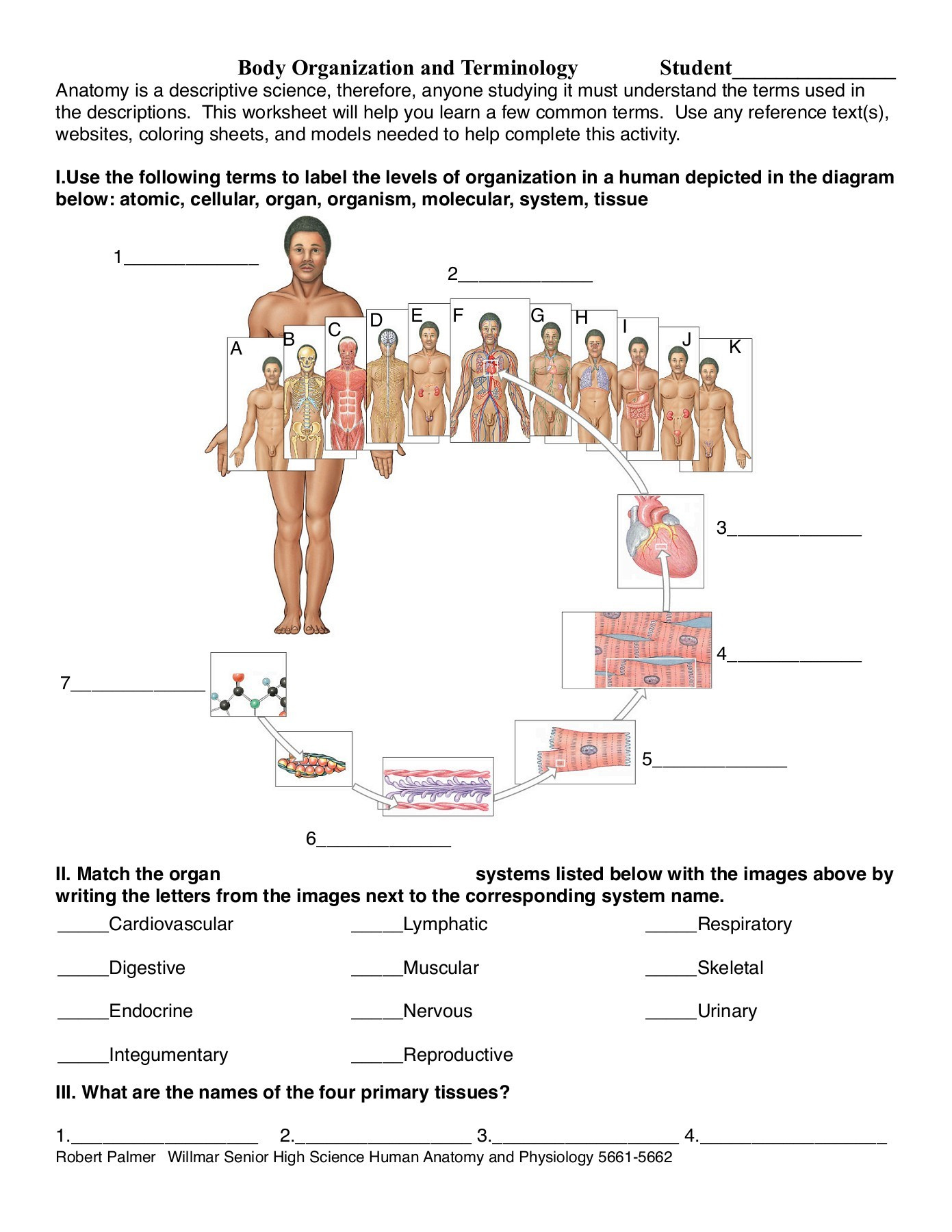 Anatomical Terms Worksheet Answers organization and Terminology Drage Homepage Pages 1 6