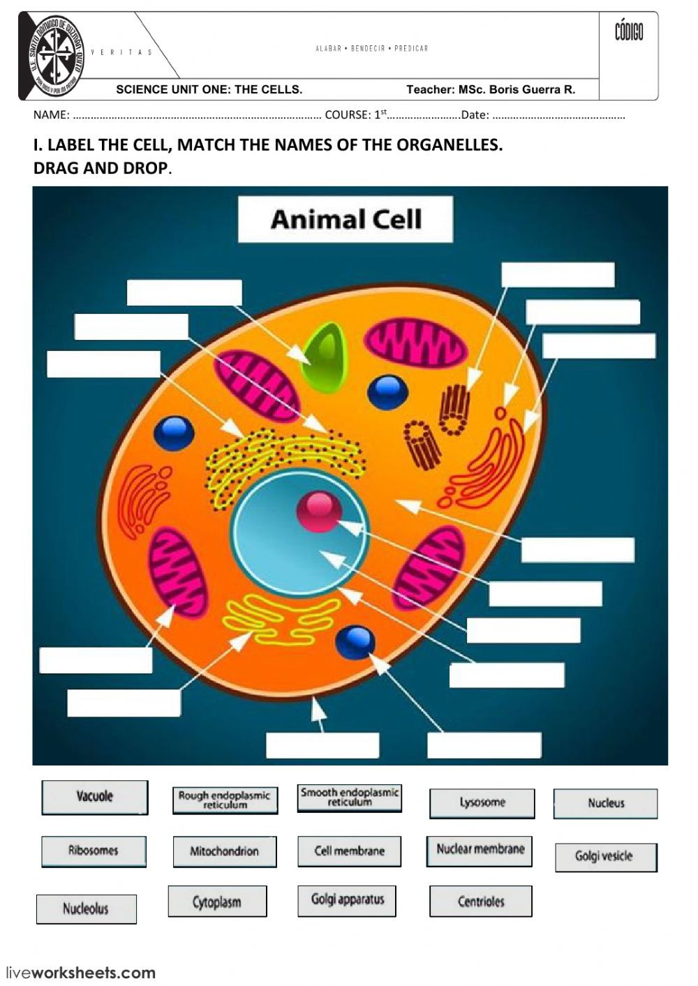 Animal and Plant Cells Worksheet Animal and Plant Cells Interactive Worksheet