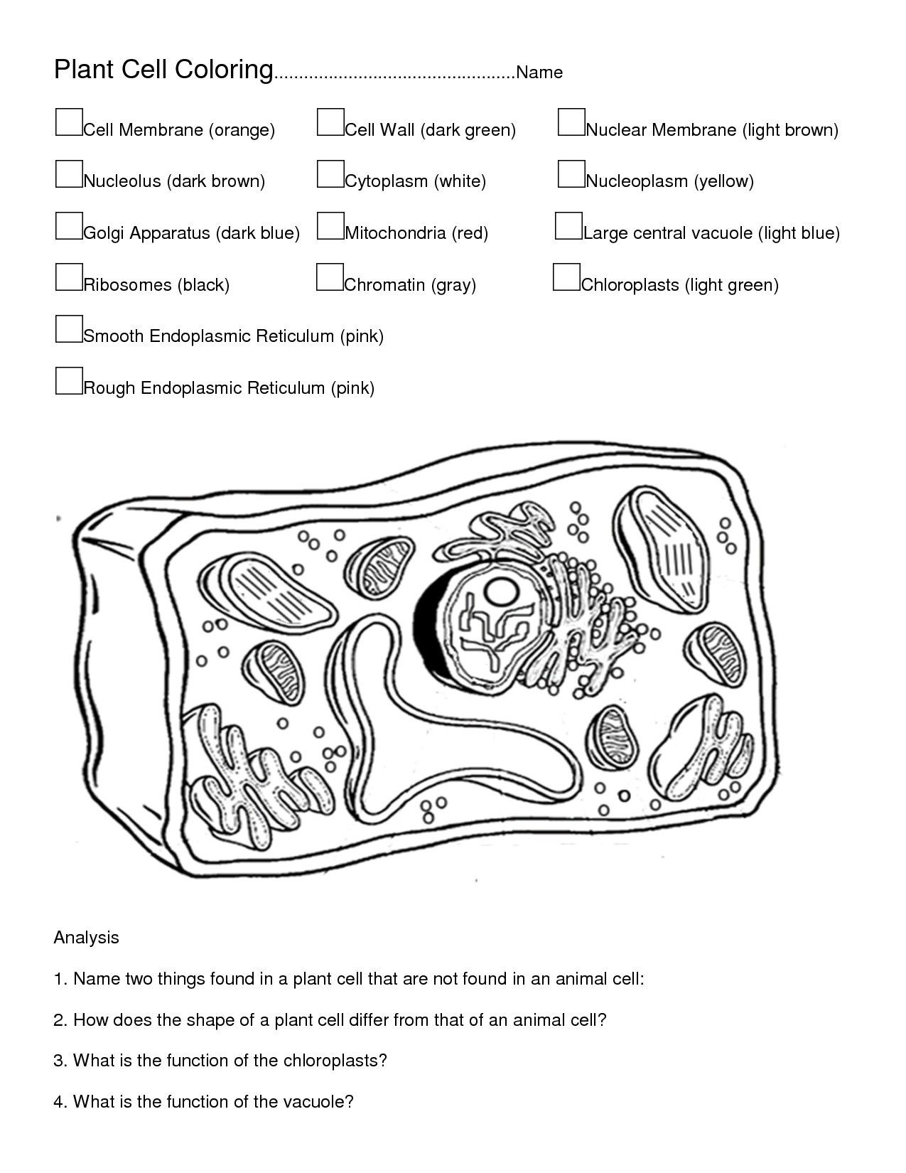 Animal and Plant Cells Worksheet Plant and Animal Cells to Color – Through the