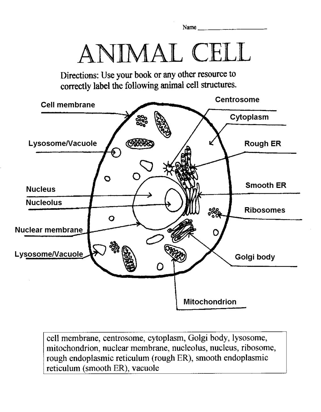 Animal Cell Coloring Worksheet Animal and Plant Cell Worksheet Answer Key