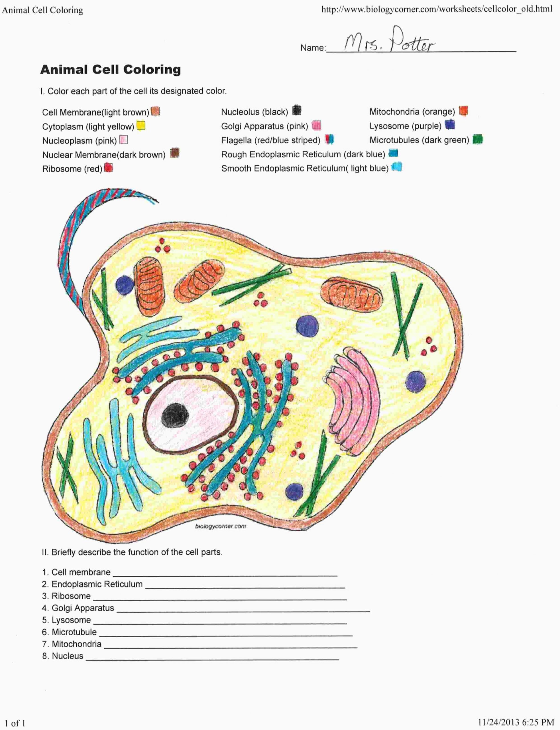Animal Cell Coloring Worksheet Coloring Sheet Labeled Animal Cell Coloring Key