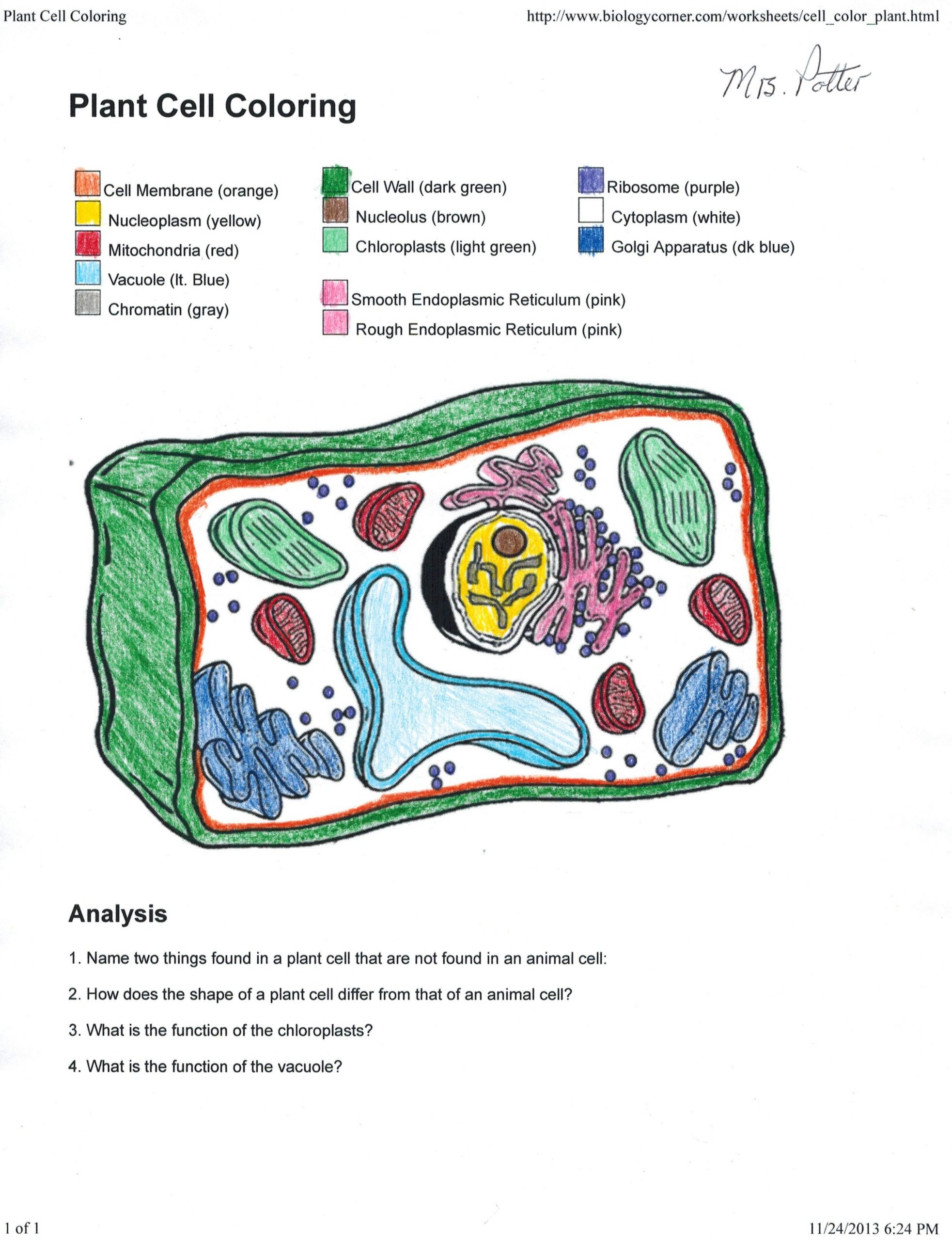Animal Cell Coloring Worksheet Trends for Plant Cell Coloring Answer Sheet