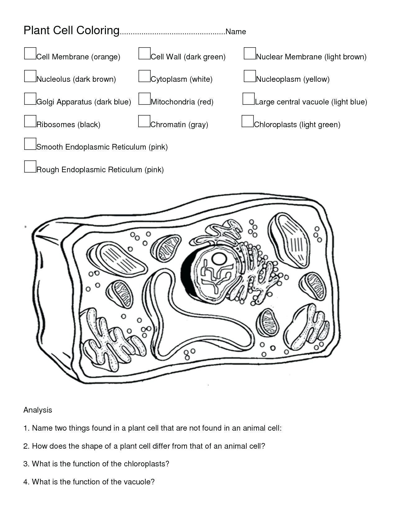 Animal Cells Coloring Worksheet Animal Cell Coloring Page – From the Thousands Of Photos On