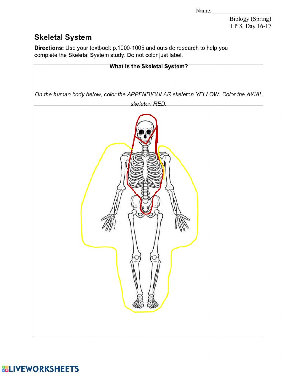 Appendicular Skeleton Worksheet Answers Biology Lp 8 D 16 17 Interactive Worksheet