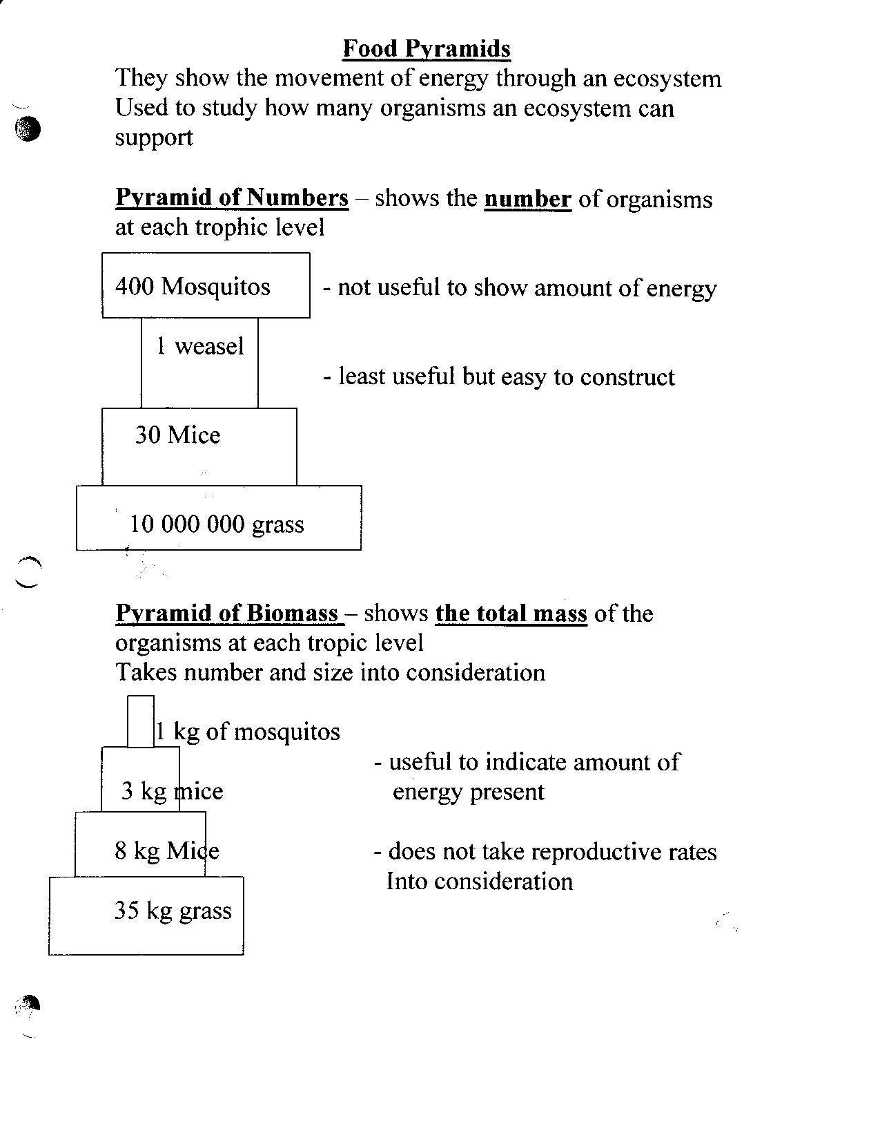 Bill Nye Biodiversity Worksheet Answers Ms tostik S Science Page