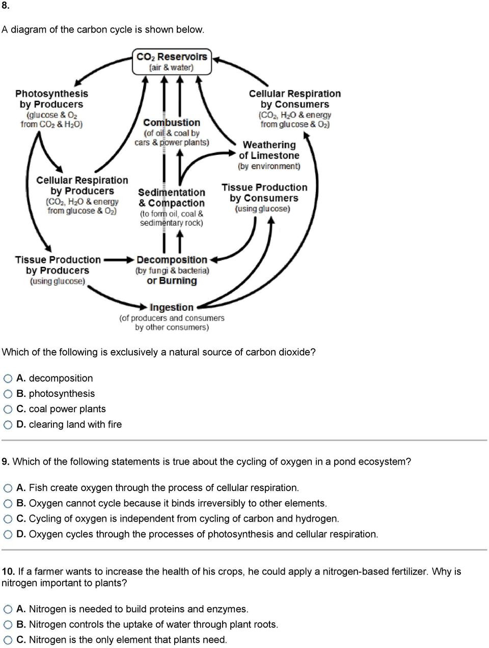 Carbon Cycle Diagram Worksheet which Of the Following Can Be Determined Based On This Model