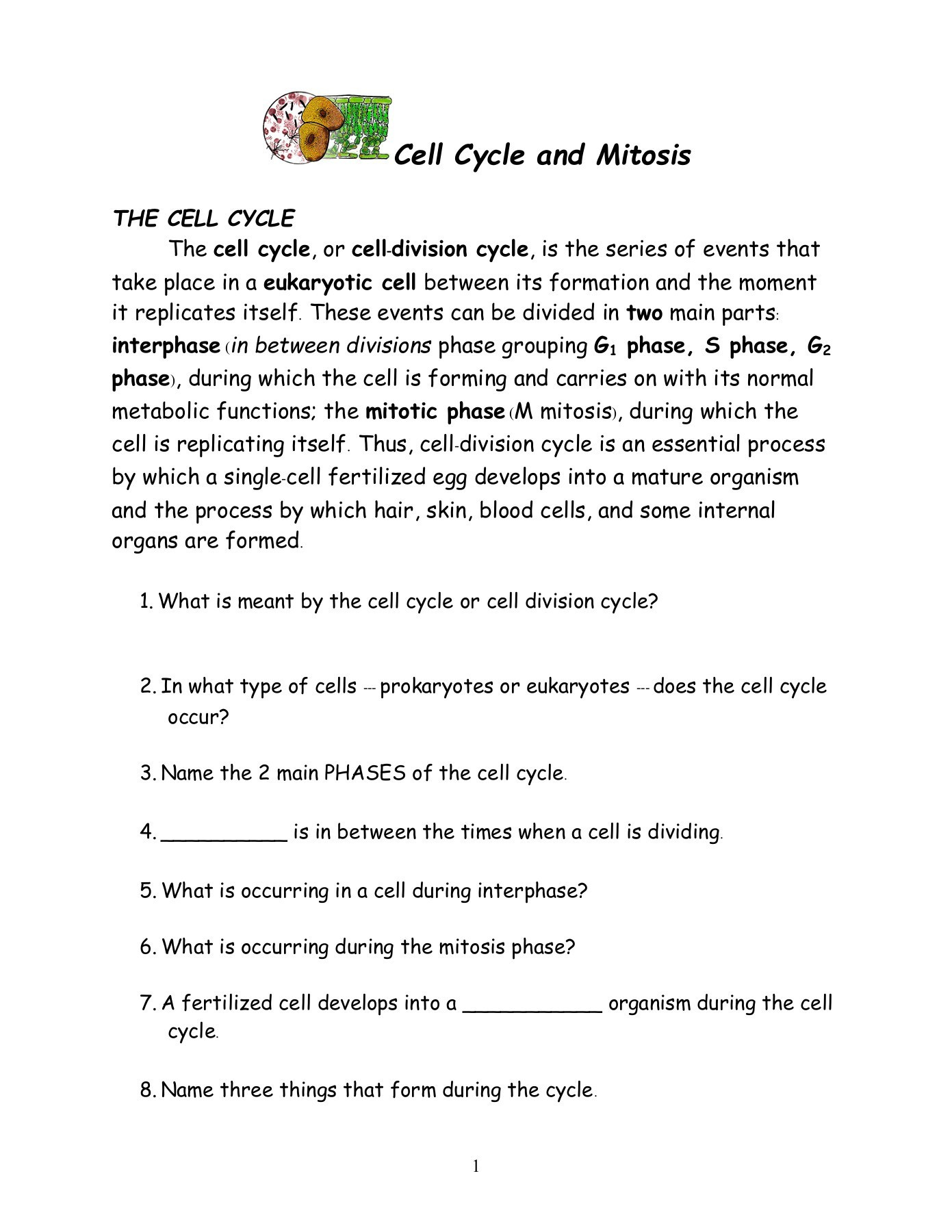Cell Cycle and Mitosis Worksheet Cell Cycle &amp; Mitosis