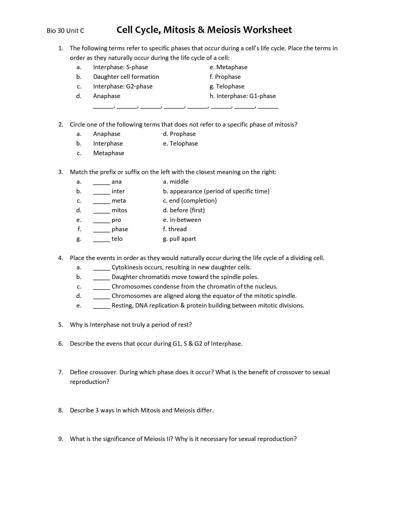 Cell Cycle and Mitosis Worksheet Phases Mitosis Worksheet