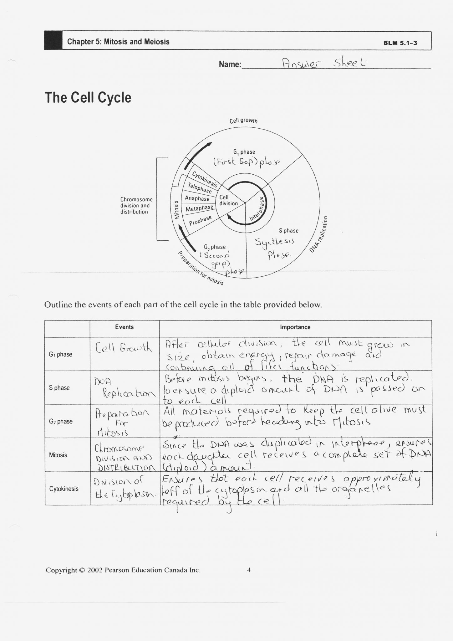 Cell Division Worksheet Answers Cells Alive Cell Cycle Worksheet Promotiontablecovers