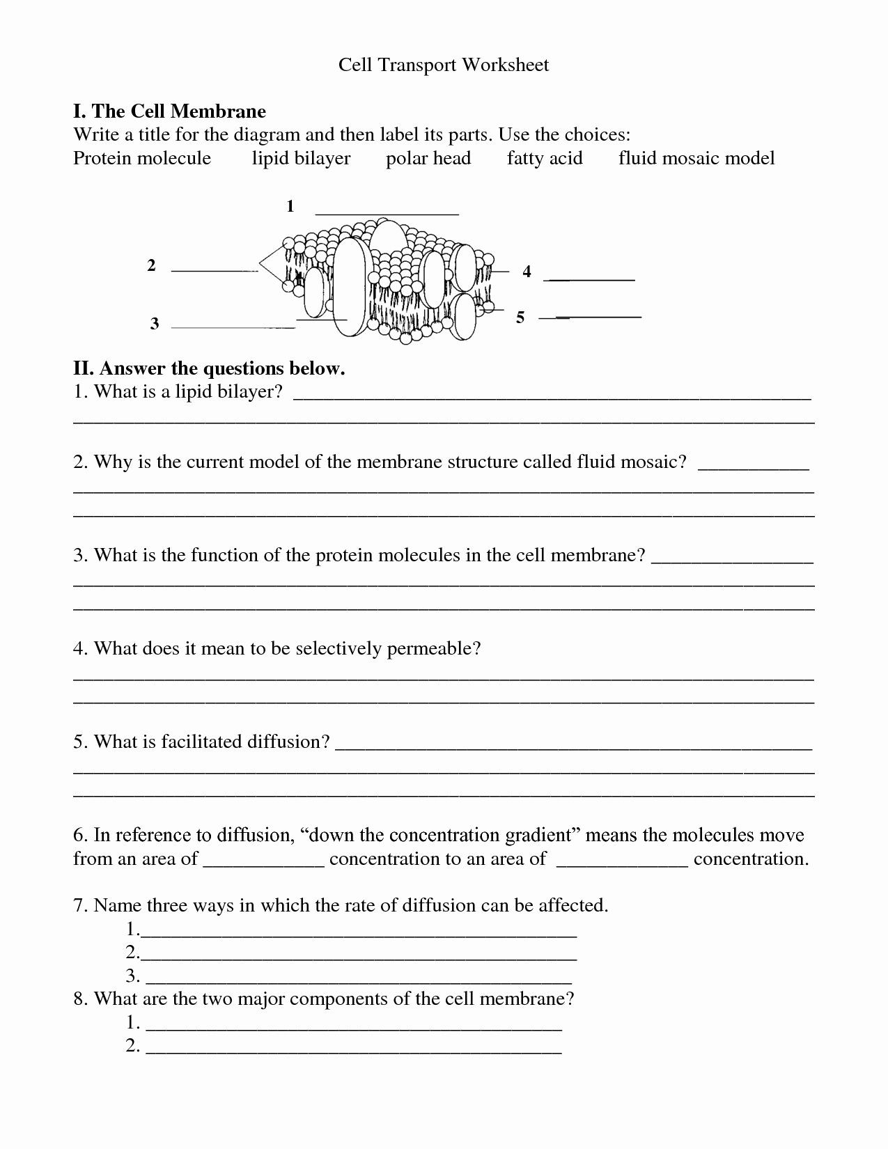 Cell Membrane Images Worksheet Answers Cell Membrane Worksheet Answers Awesome 12 Best