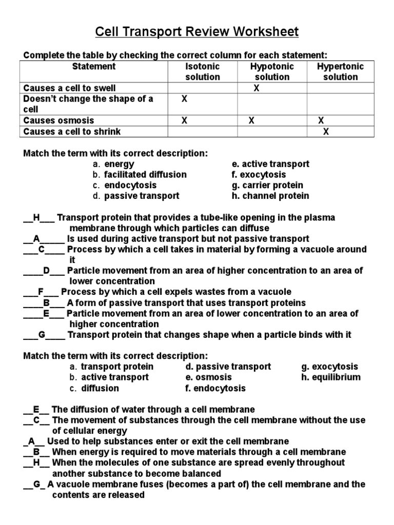 Cell Transport Review Worksheet Answers Cell Summative Review Cell Membrane