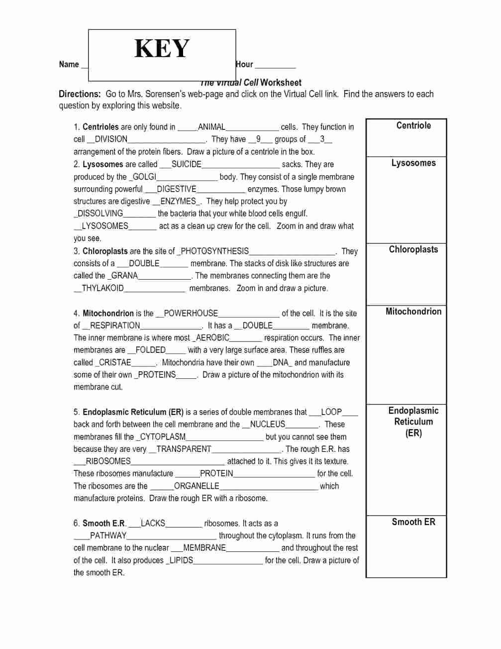 Cell Transport Review Worksheet Answers Cell Transport Coloring Worksheet In 2020