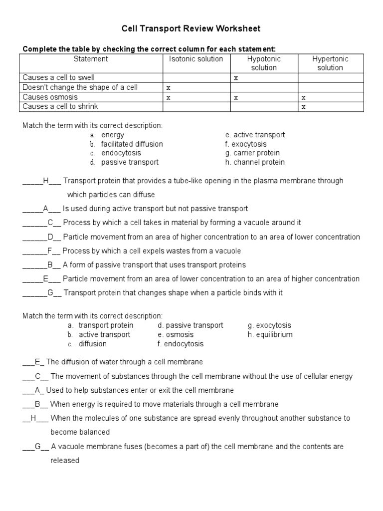 Cell Transport Review Worksheet Answers Cell Transport Review Worksheet Cell Membrane