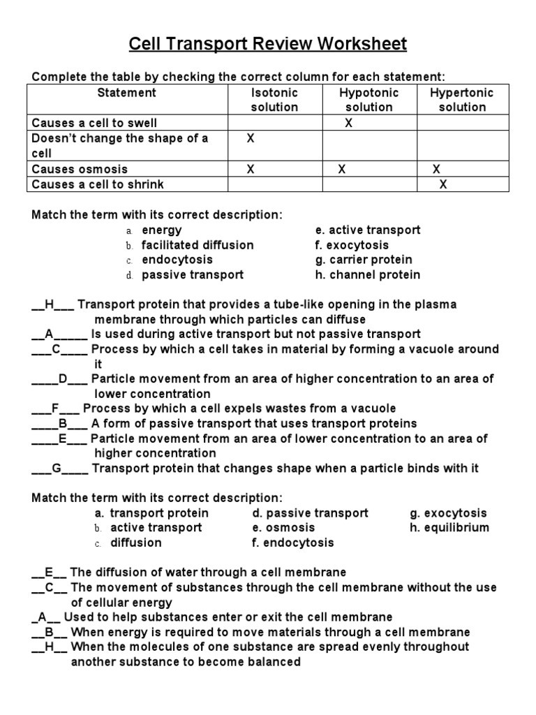 Cell Transport Review Worksheet Answers Cell Transport Review Worksheet Cell Membrane