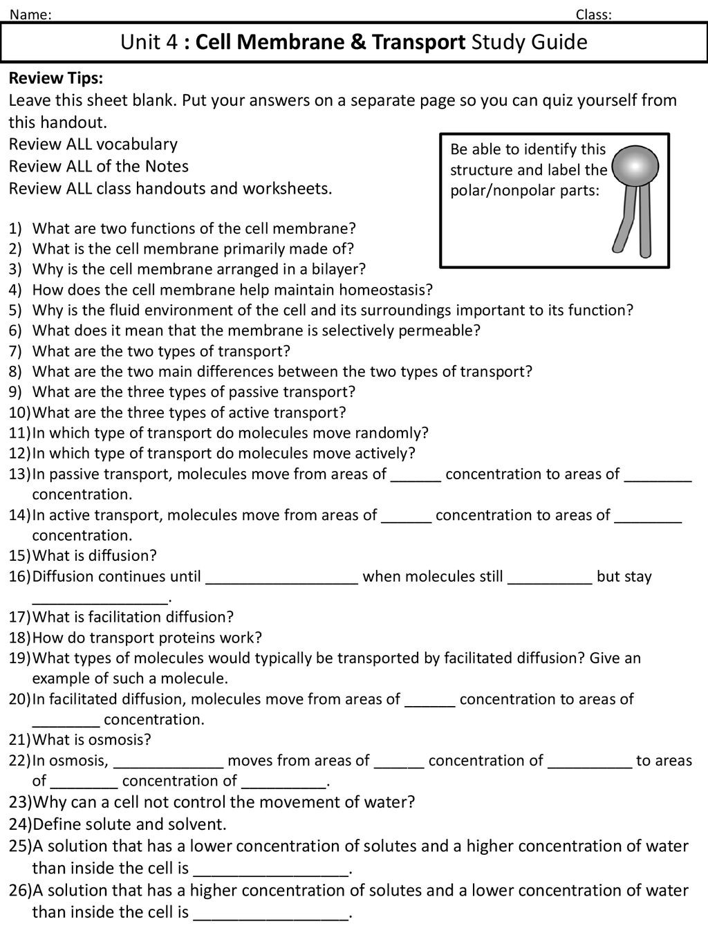 Cell Transport Review Worksheet Answers Unit 4 Cell Membrane &amp; Transport Study Guide Ppt
