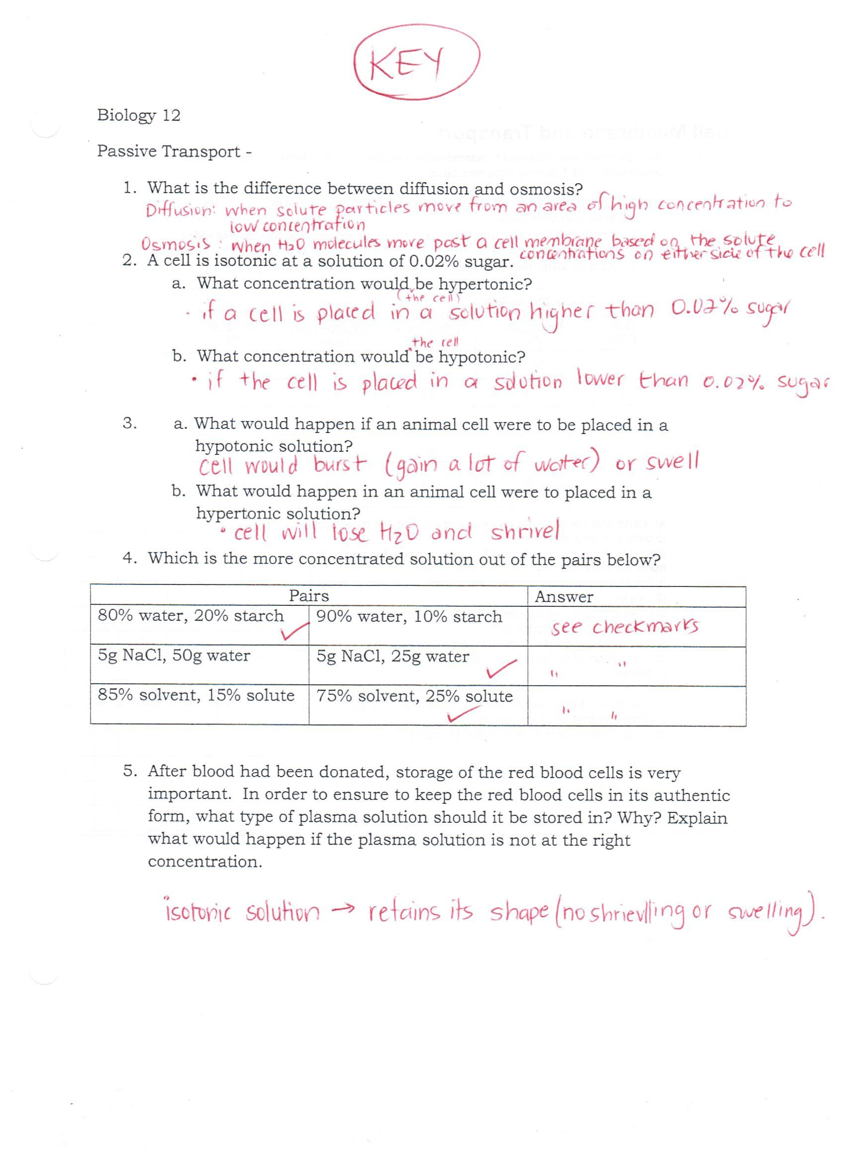 Cell Transport Worksheet Answers Cell Passive Transport Worksheets Answer Key
