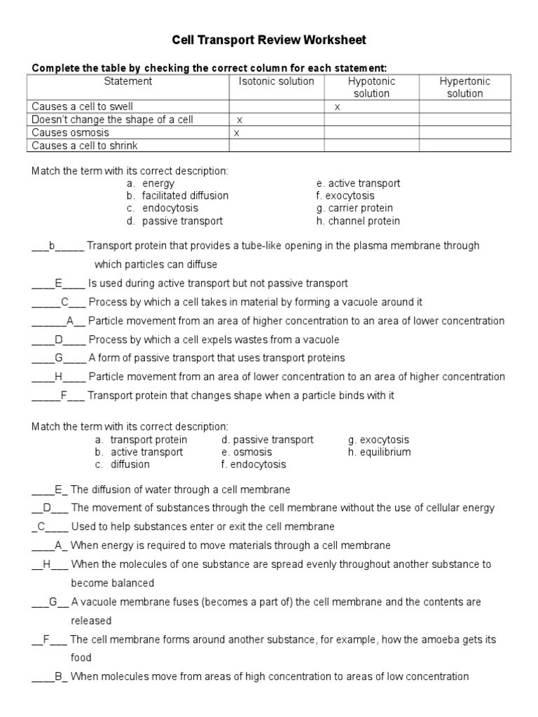 Cell Transport Worksheet Answers Cell Transport Review Worksheet 1 Osmosis
