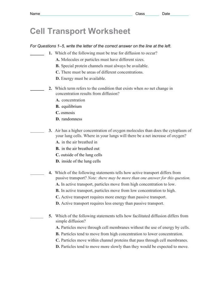 Cell Transport Worksheet Answers Cell Transport Worksheet Answer Key Search