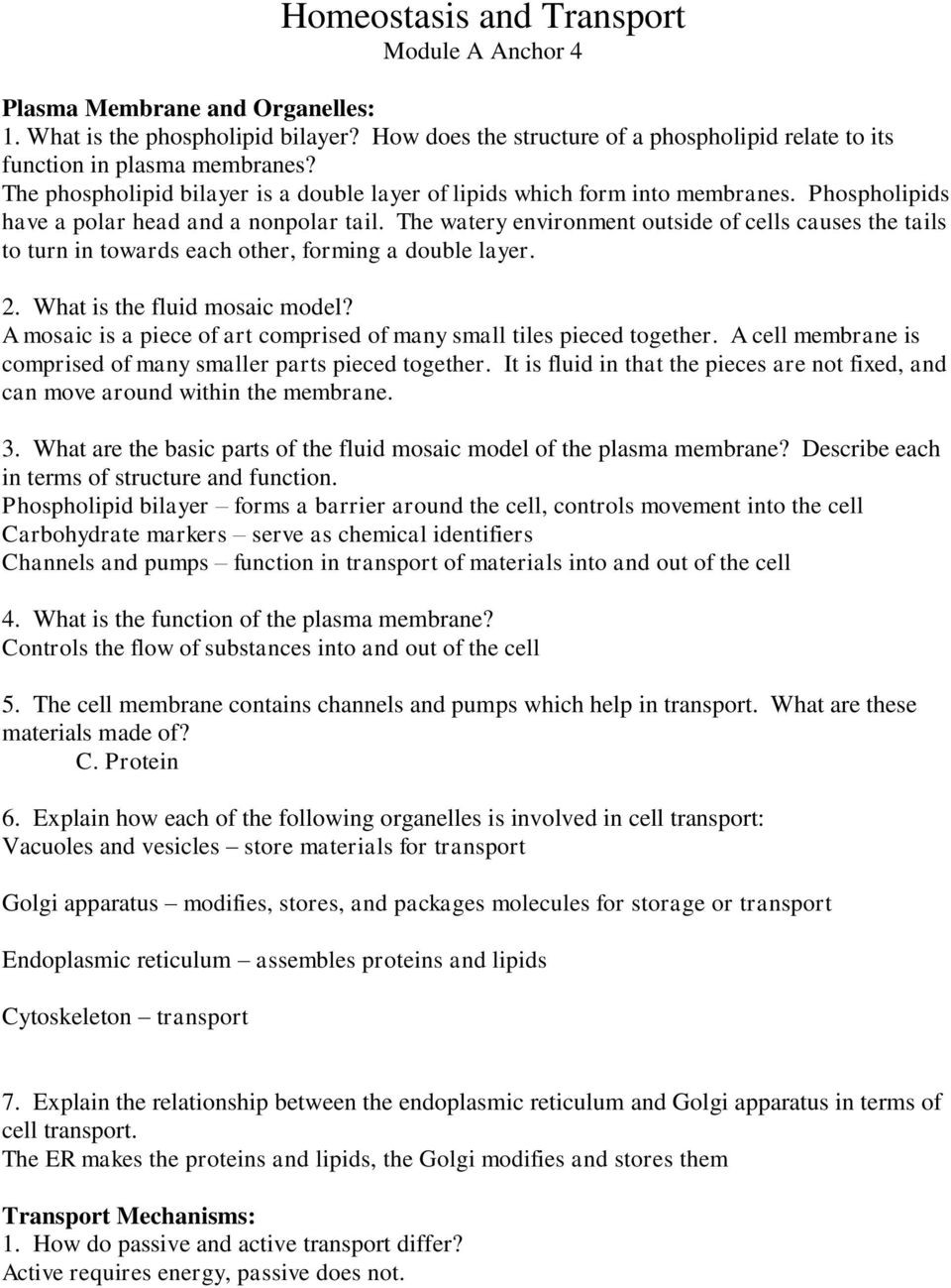 Cell Transport Worksheet Biology Answers Homeostasis and Transport Module A Anchor 4 Pdf Free Download