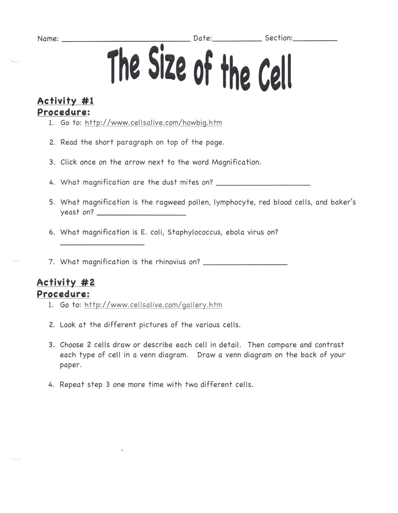 Cells Alive Worksheet Answer Key 7th Grade Science Practice Worksheets – Momami
