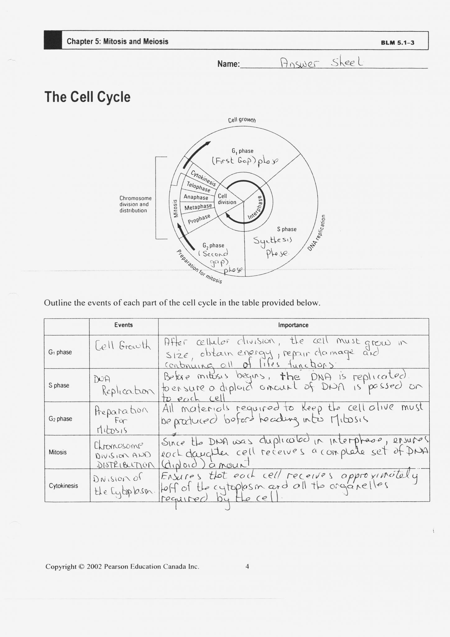 Cells Alive Worksheet Answer Key Worksheet For Education