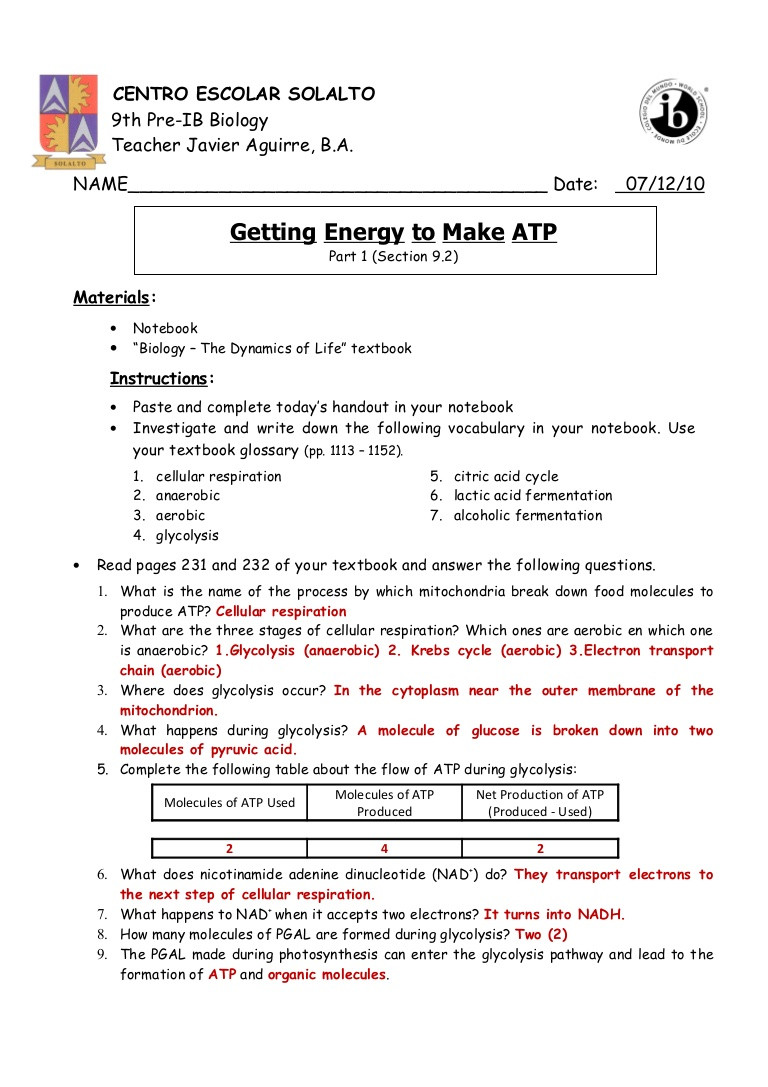 Cellular Respiration Worksheet Answer Key Getting Energy to Make atp Part 1 Pp 231 226 Answer Key