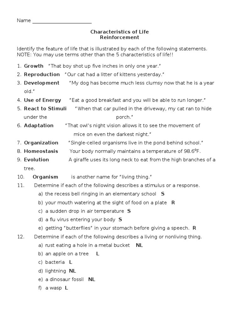 Characteristics Of Life Worksheet Characteristics Of Life Worksheet Answers 1 Cats