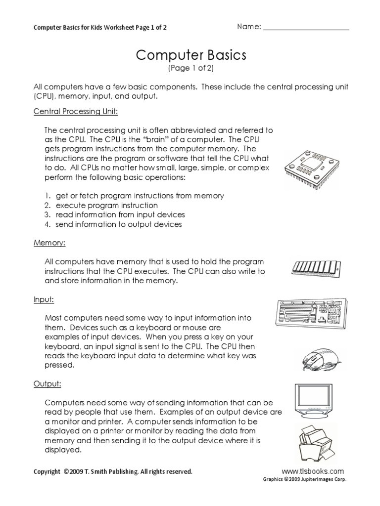 Computer Basics Worksheet Answer Key Puter Basics Input Output