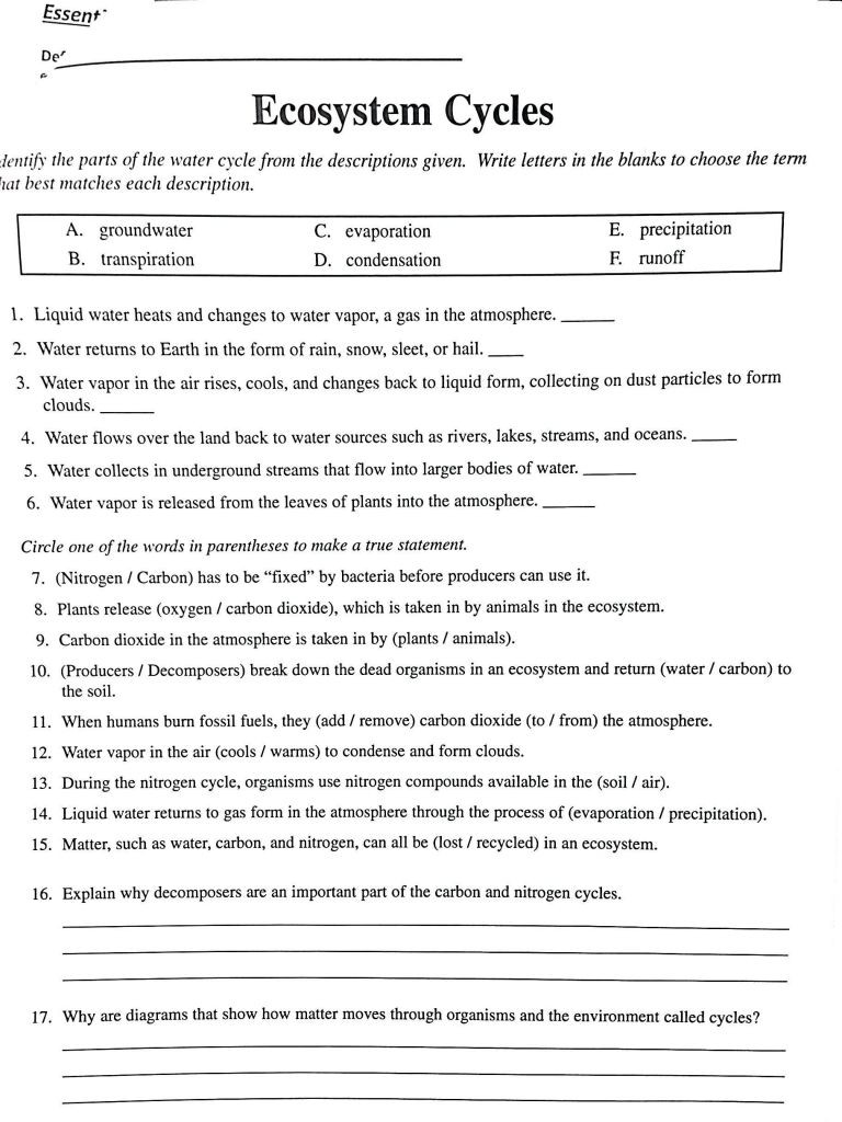Cycles Worksheet Answer Key 29 Carbon Cycle Worksheet Answers Worksheet Resource Plans