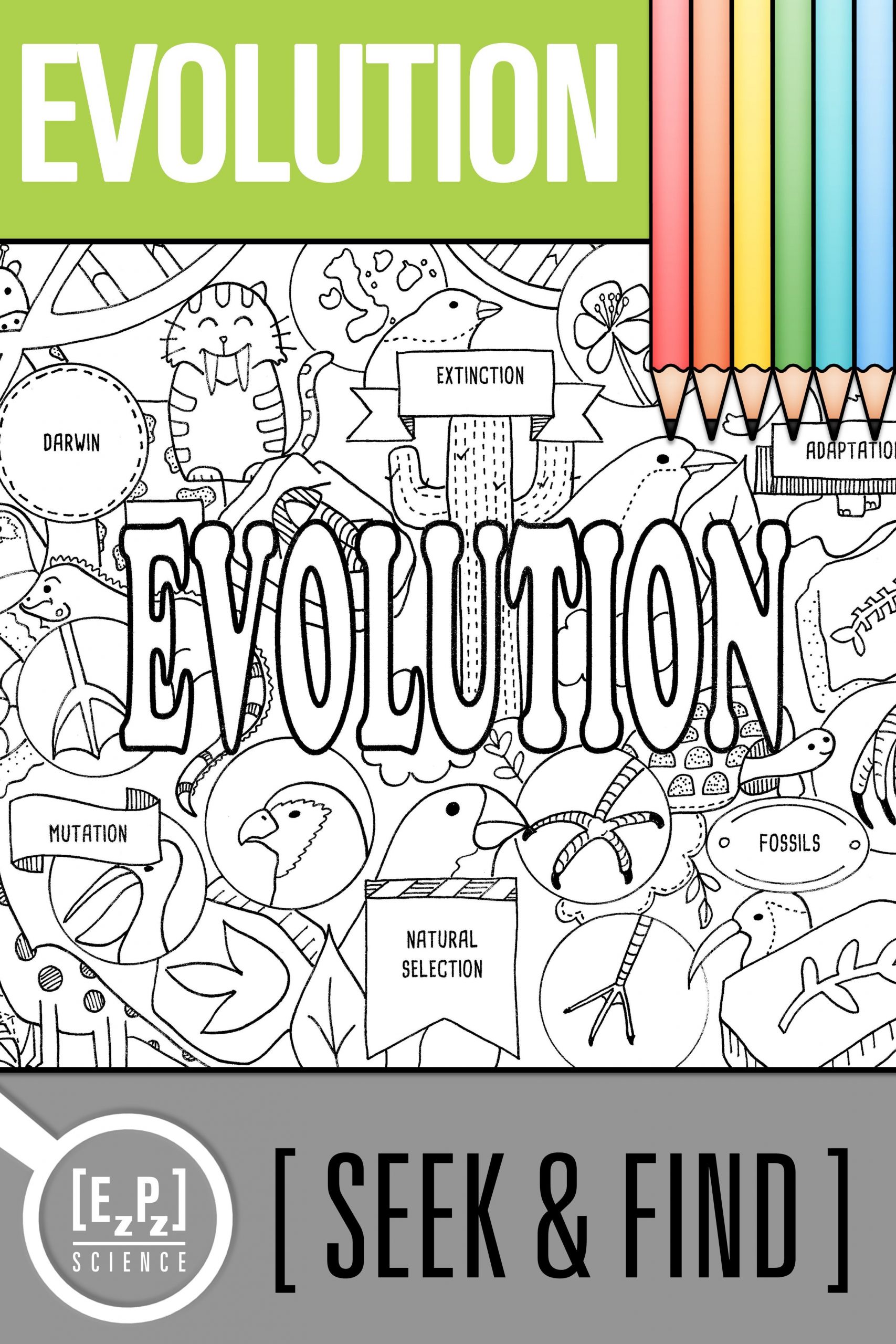 Darwin039s Natural Selection Worksheet Evolution Seek and Find Science Doodle Page