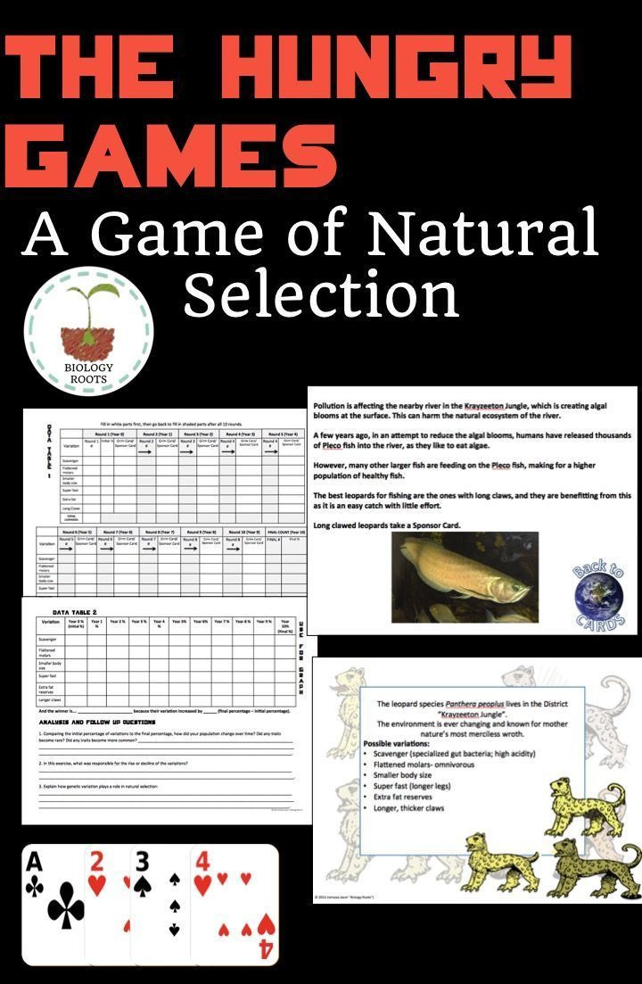 Darwin039s Natural Selection Worksheet the Hungry Games A Game Of Natural Selection