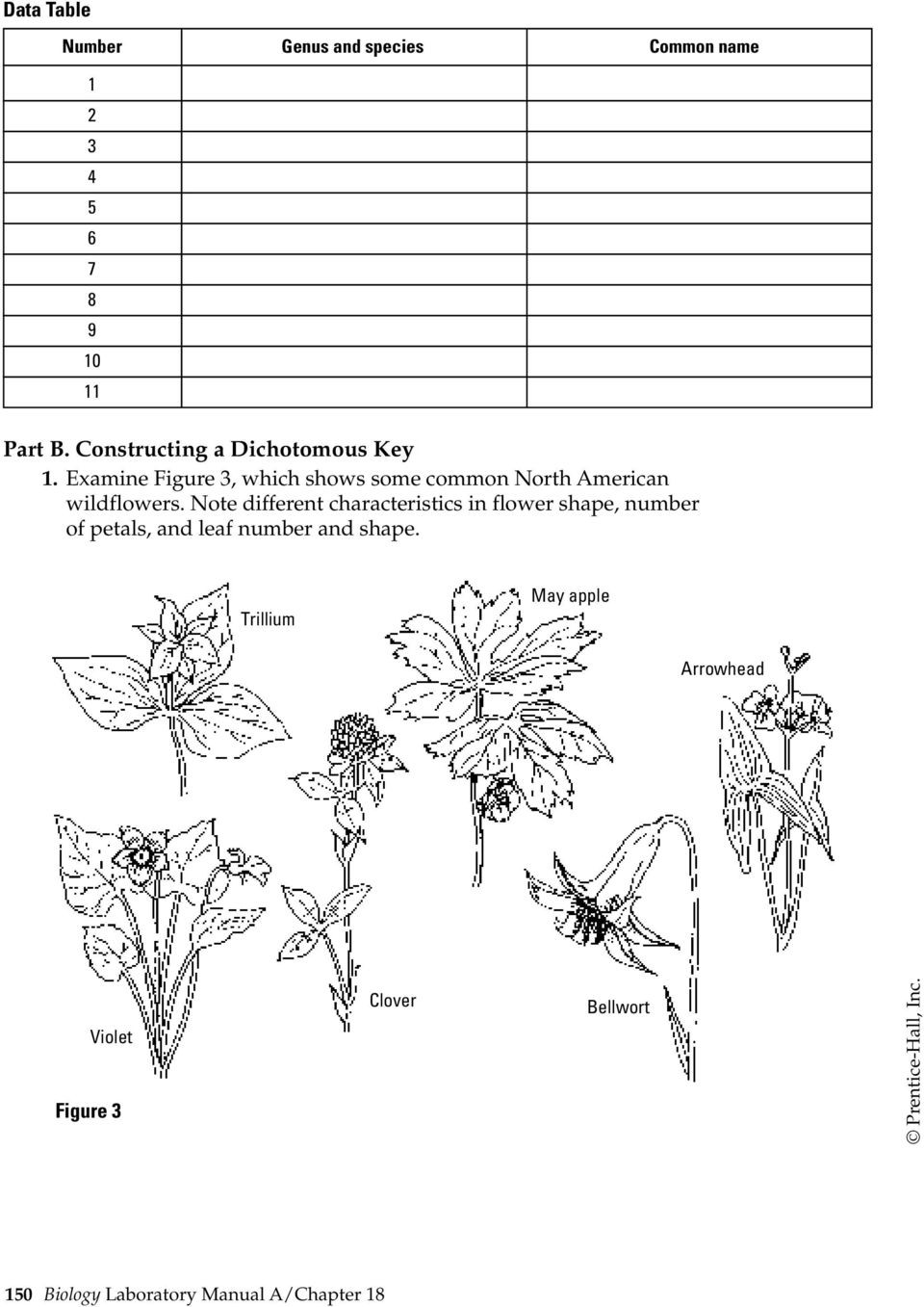 Dichotomous Key Worksheet Middle School Using and Constructing A Dichotomous Key Pdf Free Download