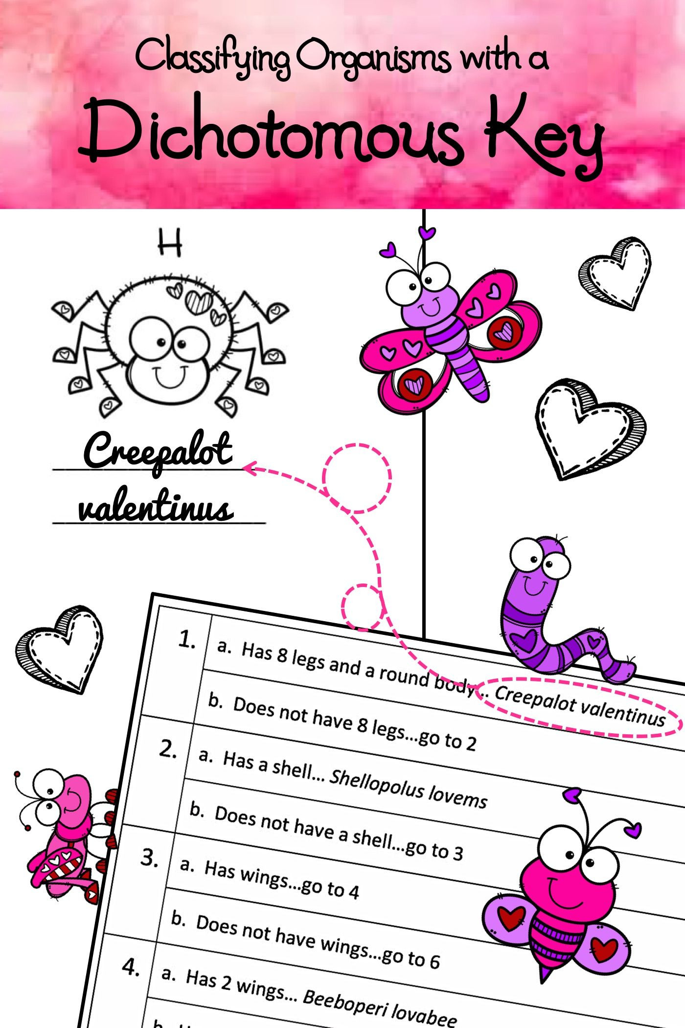 Dichotomous Key Worksheet Middle School Valentine S Day Science Activity Classifying organisms