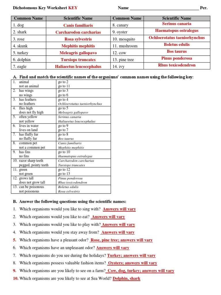 Dichotomous Key Worksheet Pdf Dichot Key Practice Ws 2013 14 Key organisms