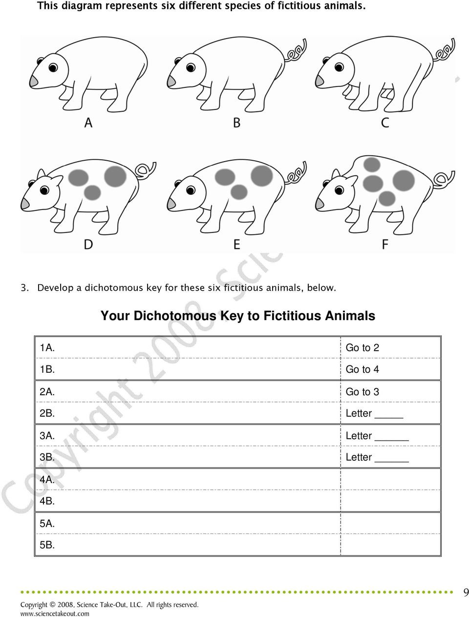 Dichotomous Key Worksheet Pdf Dichotomous Key for Animals Search