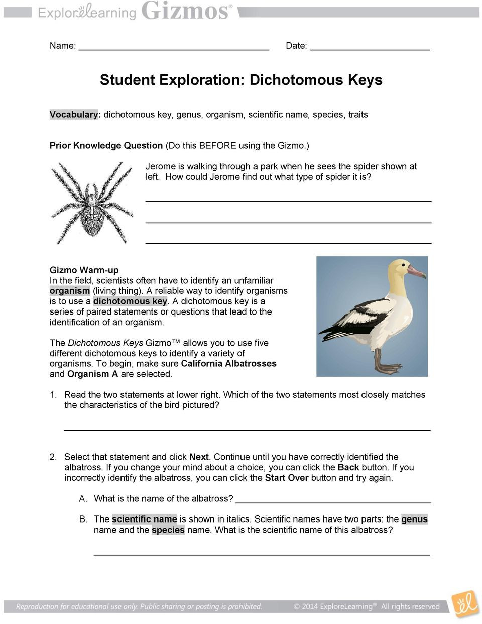 Dichotomous Key Worksheet Pdf Student Exploration Dichotomous Keys Pdf Free Download