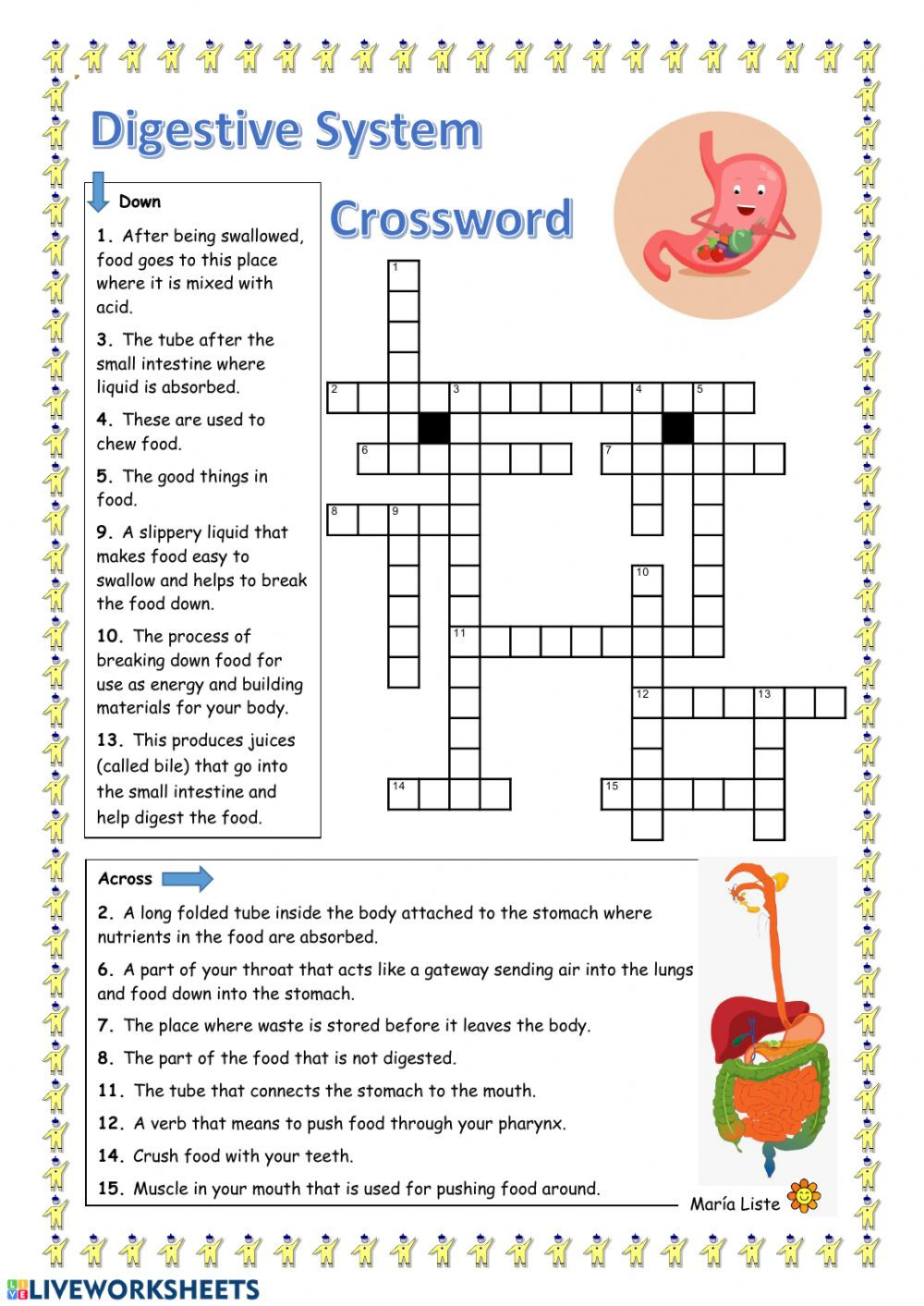 Digestive System Worksheet Answer Key Digestive System Crossword Interactive Worksheet