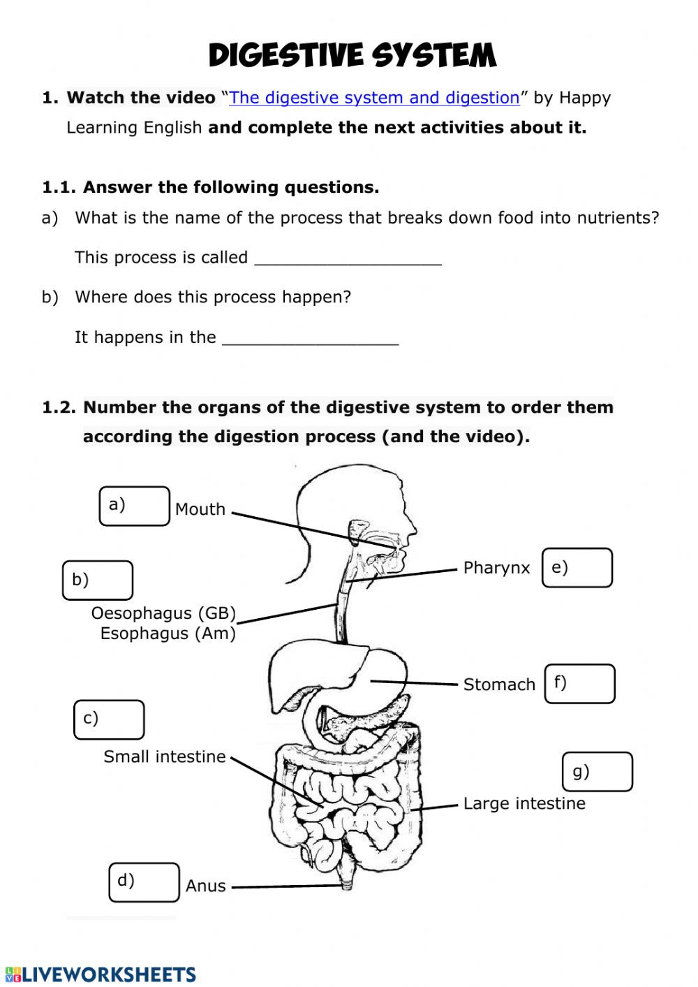 Digestive System Worksheet Answer Key Nutrition 2 Digestive System Interactive Worksheet