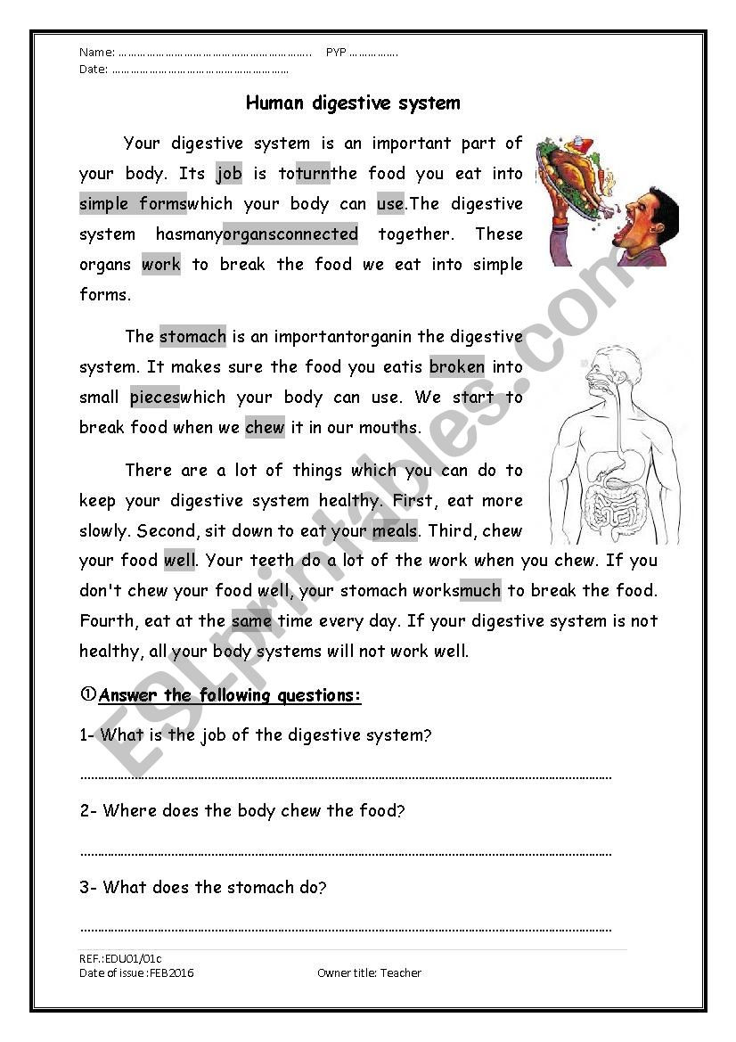 Digestive System Worksheet Answers A Reading Prehension Passage About the Digestive System