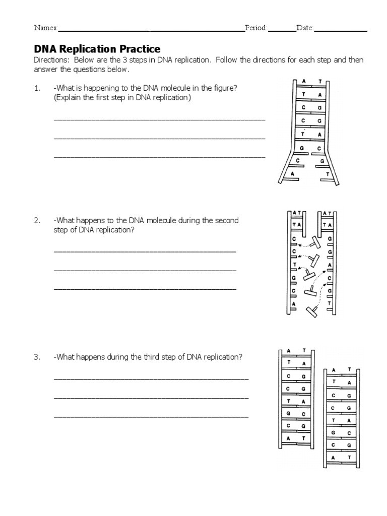 Dna and Replication Worksheet Dna Replication Worksheet Dna Replication