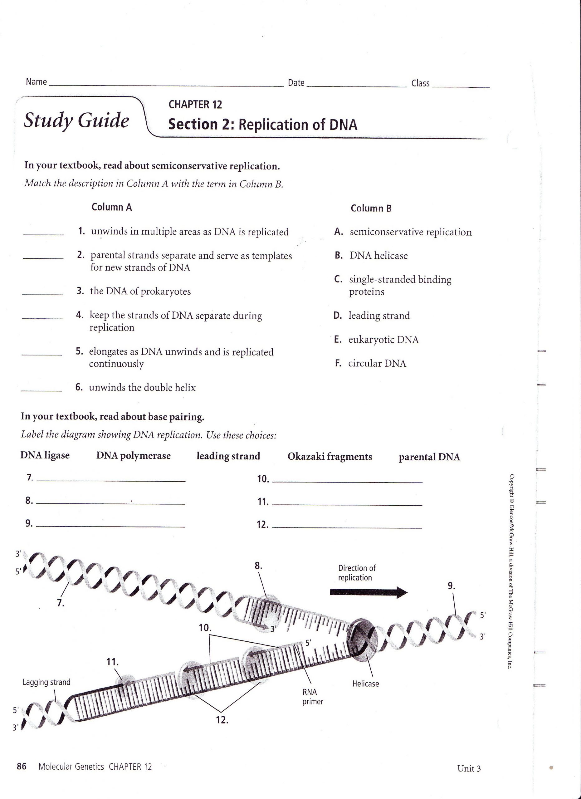 Dna and Replication Worksheet Dna Replication Worksheet Search