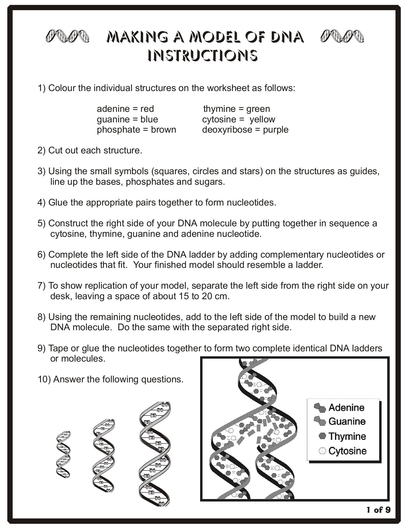 Dna and Replication Worksheet Making A Model Of Dna Instructions TriPod Pages 1 9