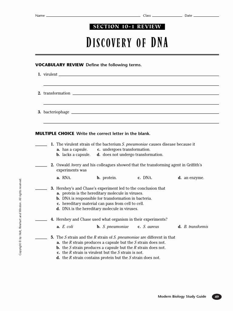 Dna and Rna Worksheet Answers Dna and Rna Worksheet Answers Beautiful Worksheet Dna Rna