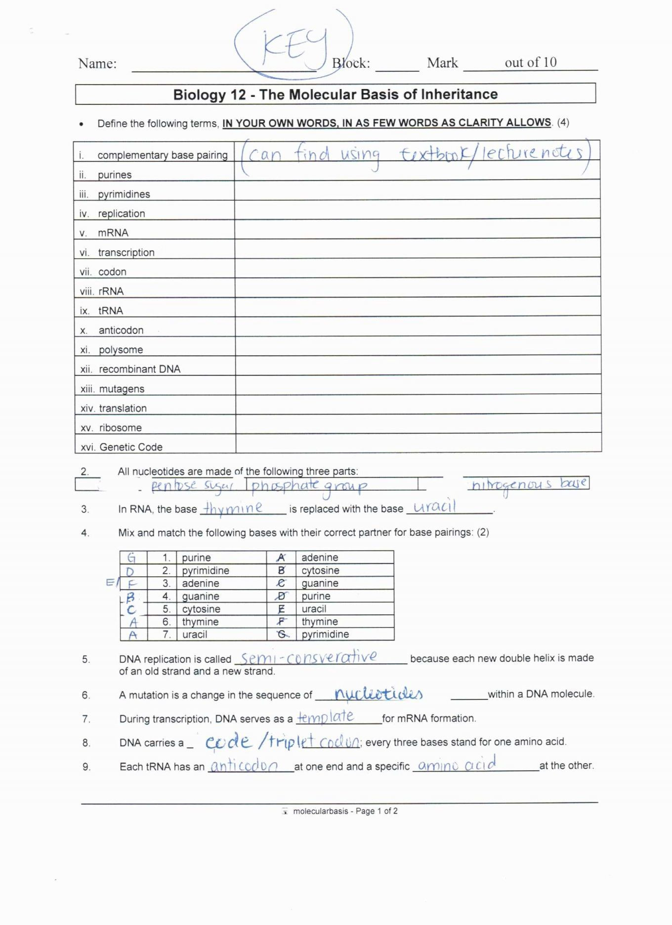 Dna Mutations Practice Worksheet Answer Protein Synthesis Review Worksheet Key Nidecmege