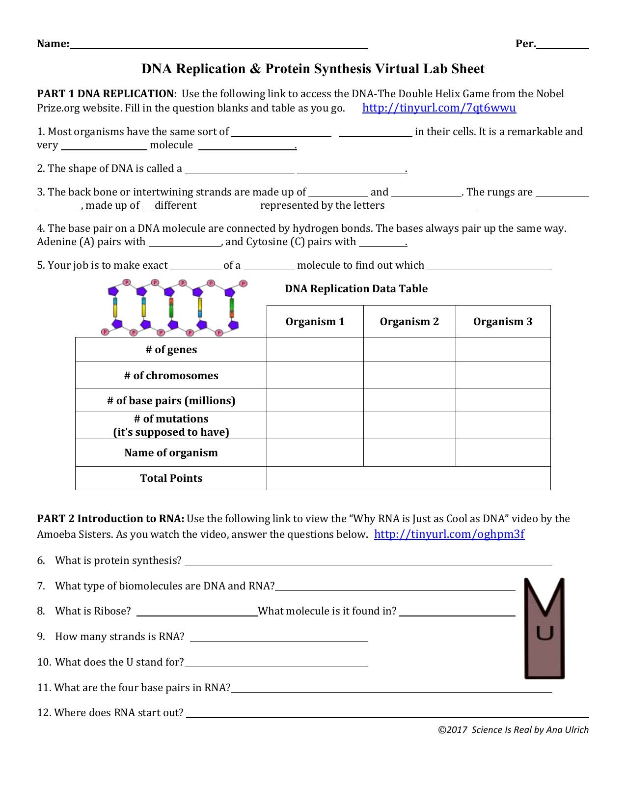 Dna Replication Worksheet Answers Dna Replication Protein Synthesis Worksheet