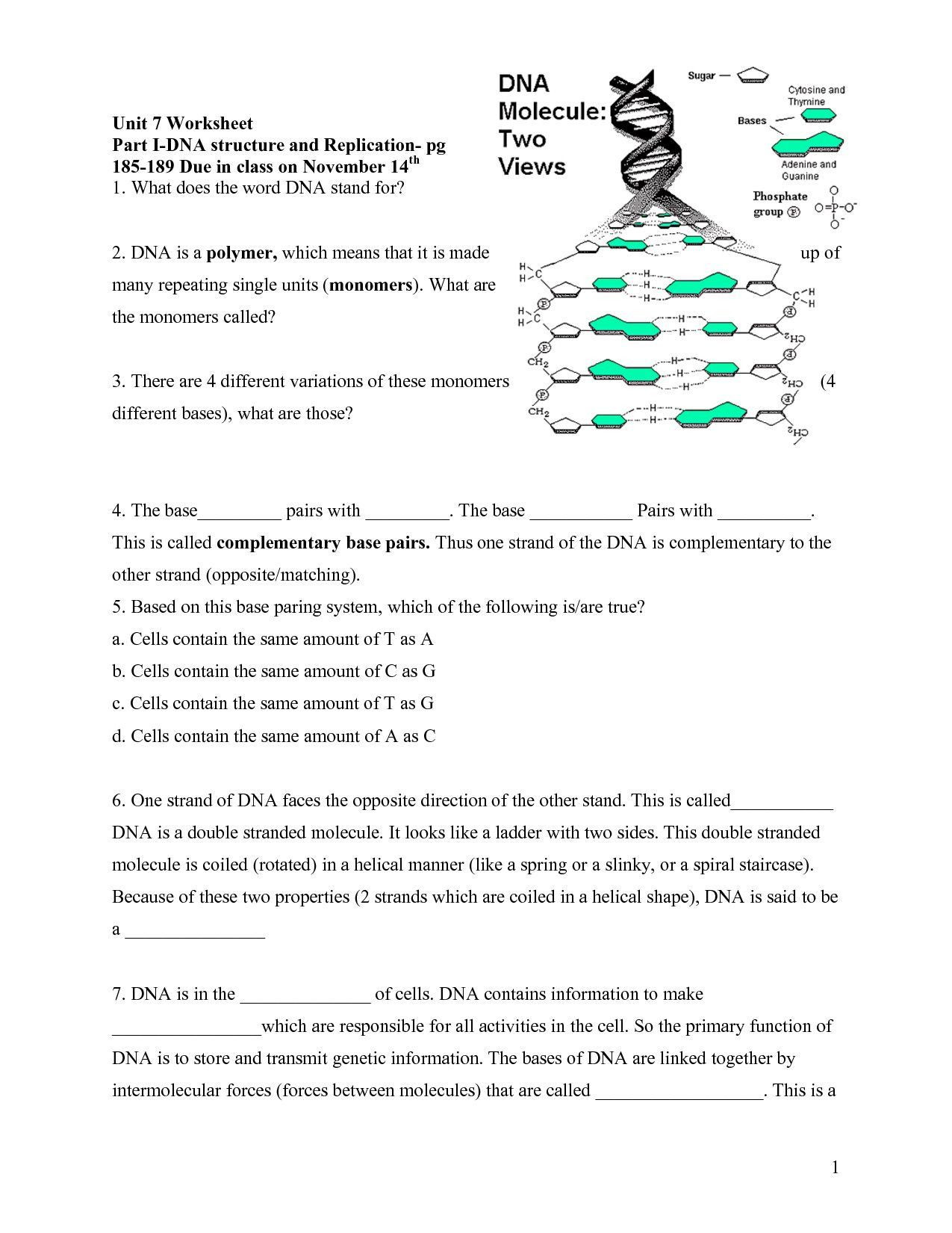 Dna Replication Worksheet Answers Transcription Vs Replication Worksheet