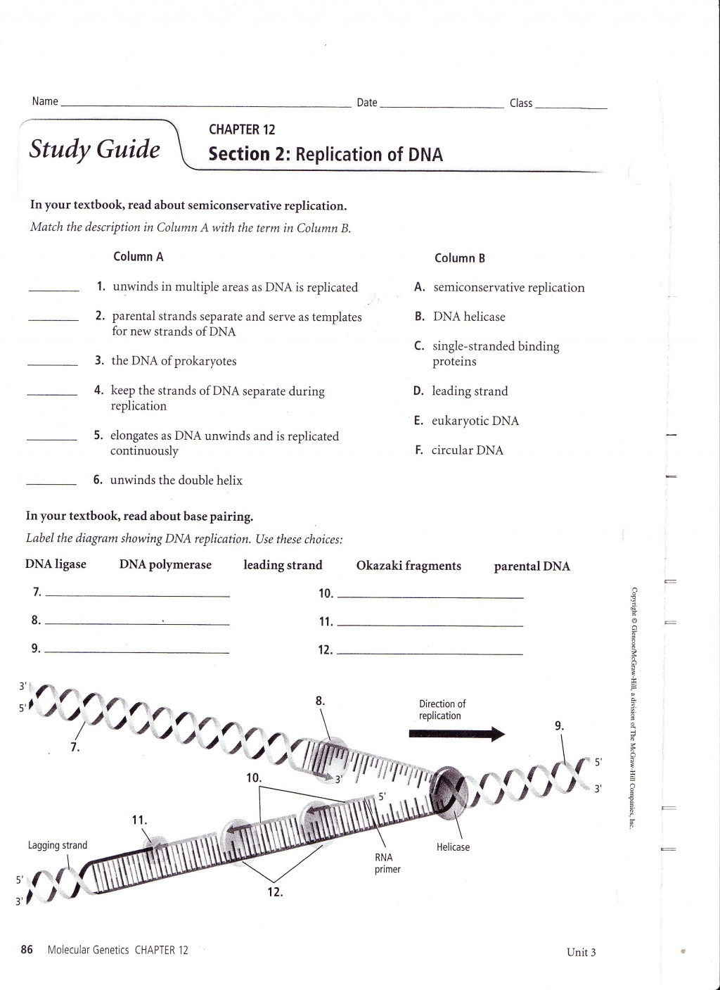 Dna Replication Worksheet Key Dna Structure and Replication Worksheet Promotiontablecovers