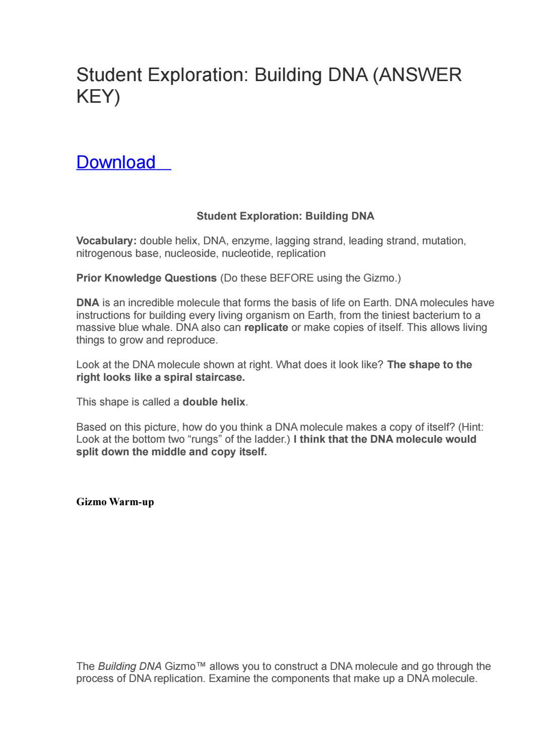 Dna Replication Worksheet Key Student Exploration Building Dna Answer Key by Dedfsf
